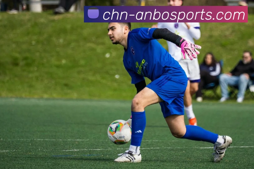 App Interface Preview